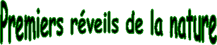 Premiers réveils de la nature
