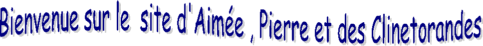 Bienvenue sur le  site d'Aime et Pierre